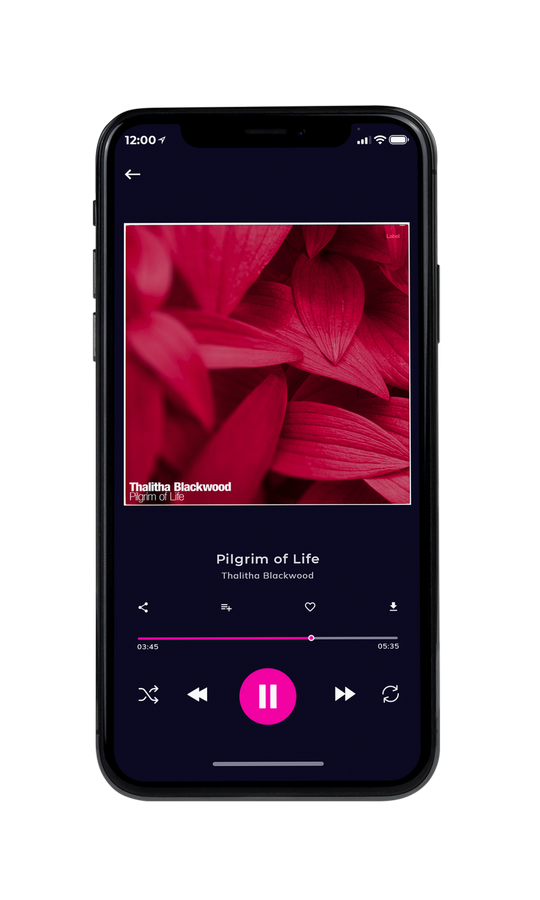 Tablet view of Premade Contemporary Music Album Cover - Old Brick #7567 | AlbumArtZone*