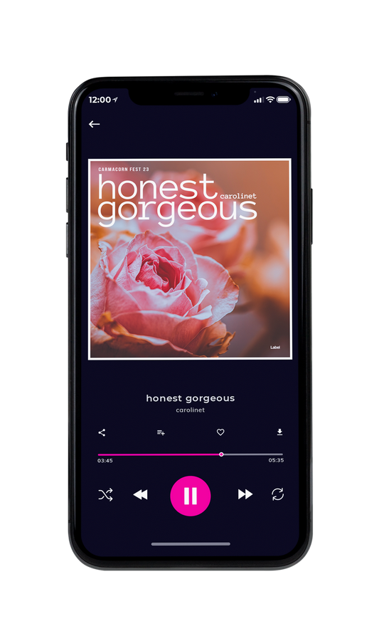 Tablet view of Premade Electronica & Ambient Album Cover - Turkish Rose #7713 | AlbumArtZone*