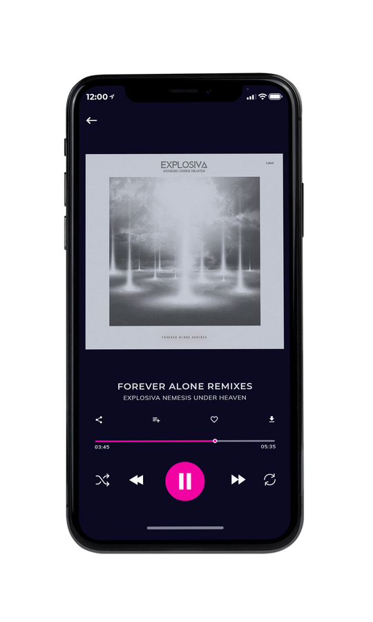 Tablet view of Premade Rock,Punk & Alternative Album Cover - Silver #7827 | AlbumArtZone*