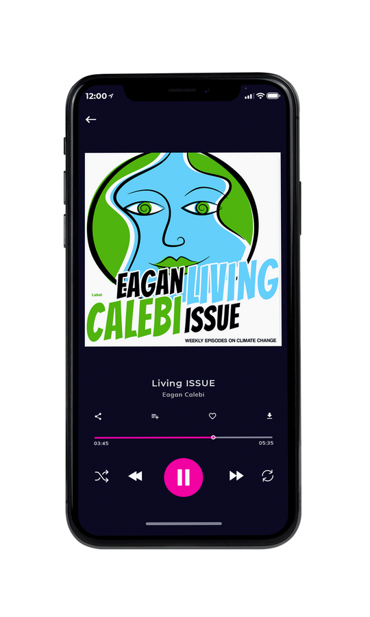 Tablet view of Premade Podcast Album Cover - Malibu #7847 | AlbumArtZone*