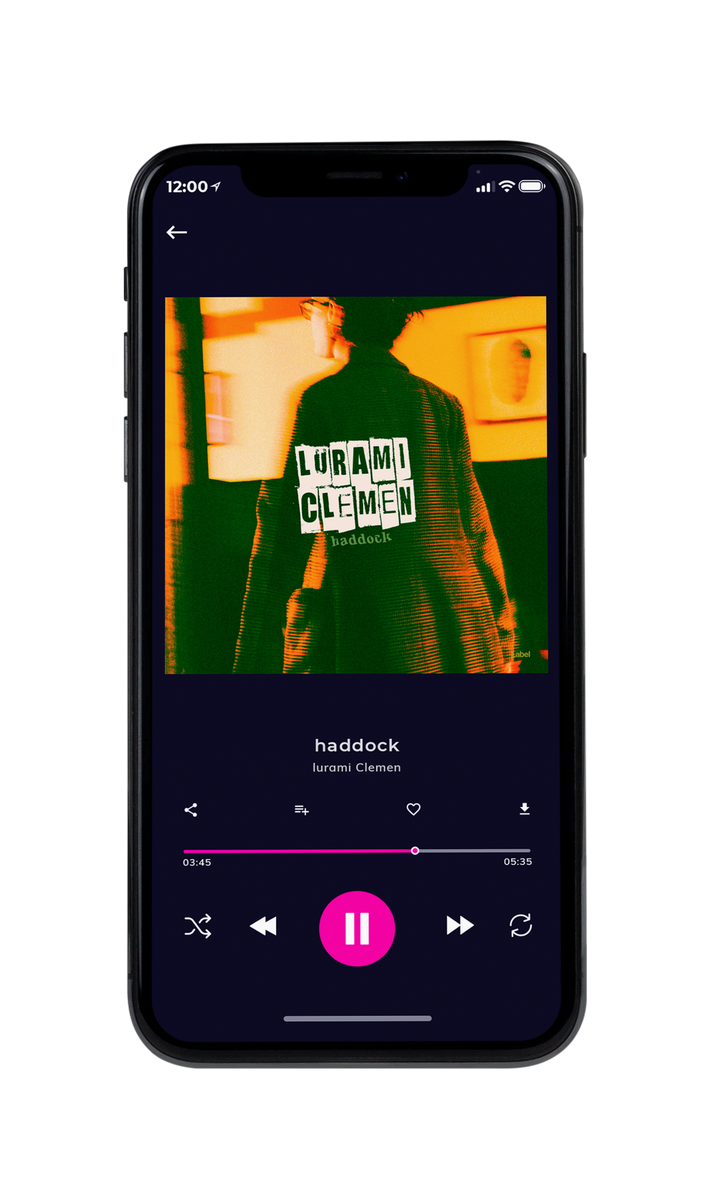 Tablet view of Premade Pop Album Cover - Dark Fern #8005 | AlbumArtZone*