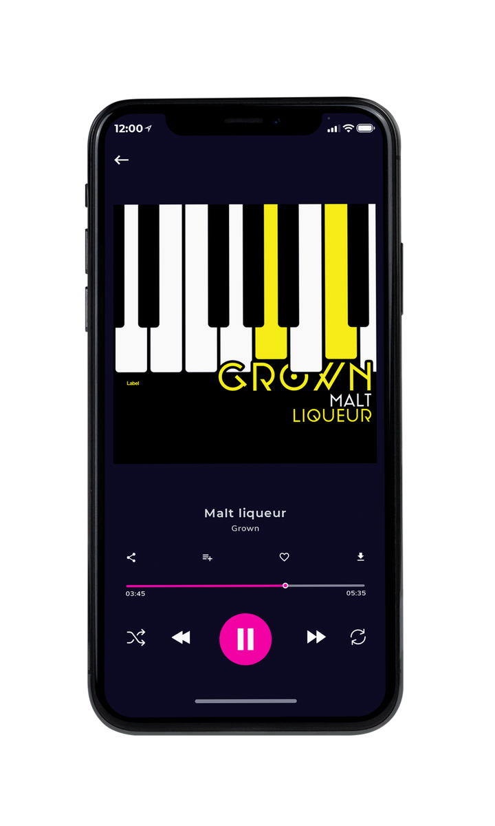 Tablet view of Premade Funk & Fusion Album Cover - Rangoon Green #8153 | AlbumArtZone*