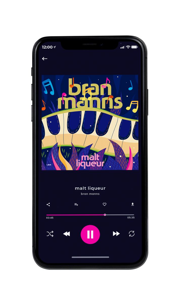 Tablet view of Premade Funk & Fusion Album Cover - Lucky Point #8154 | AlbumArtZone*