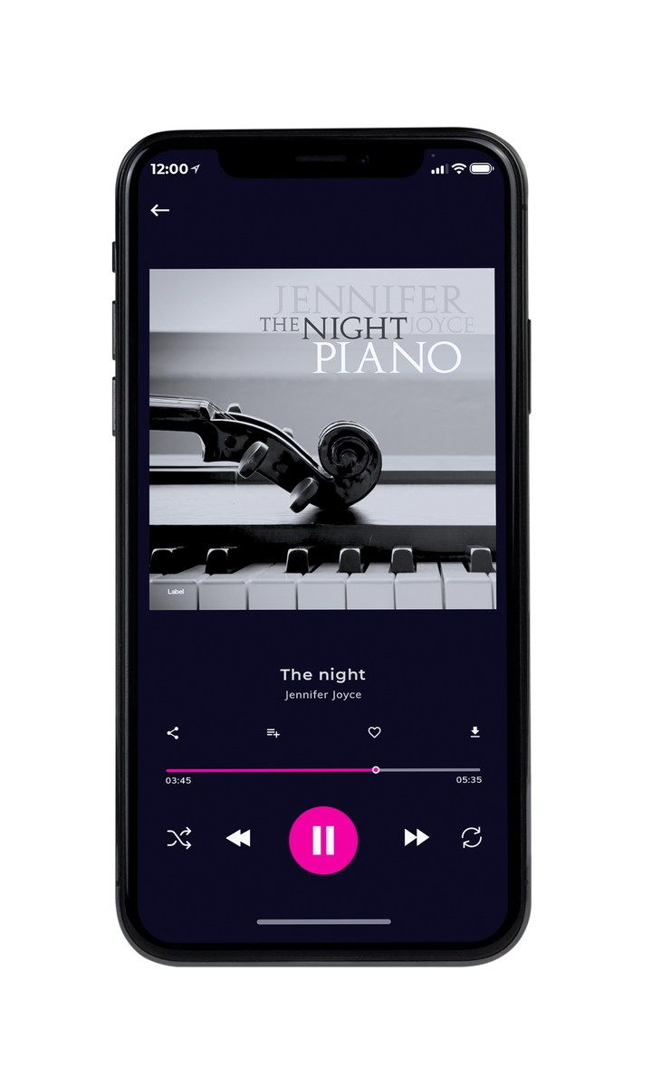 Tablet view of Premade Contemporary Music Album Cover - Silver #8180 | AlbumArtZone*