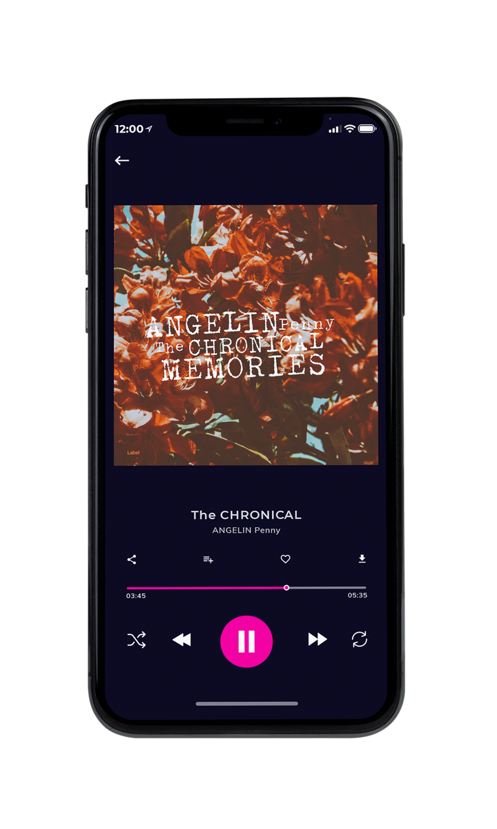 Tablet view of Premade Country & Acoustic Album Cover - Spice #8192 | AlbumArtZone*