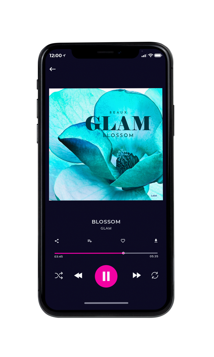 Tablet view of Premade Pop Album Cover - Pelorous #8216 | AlbumArtZone*
