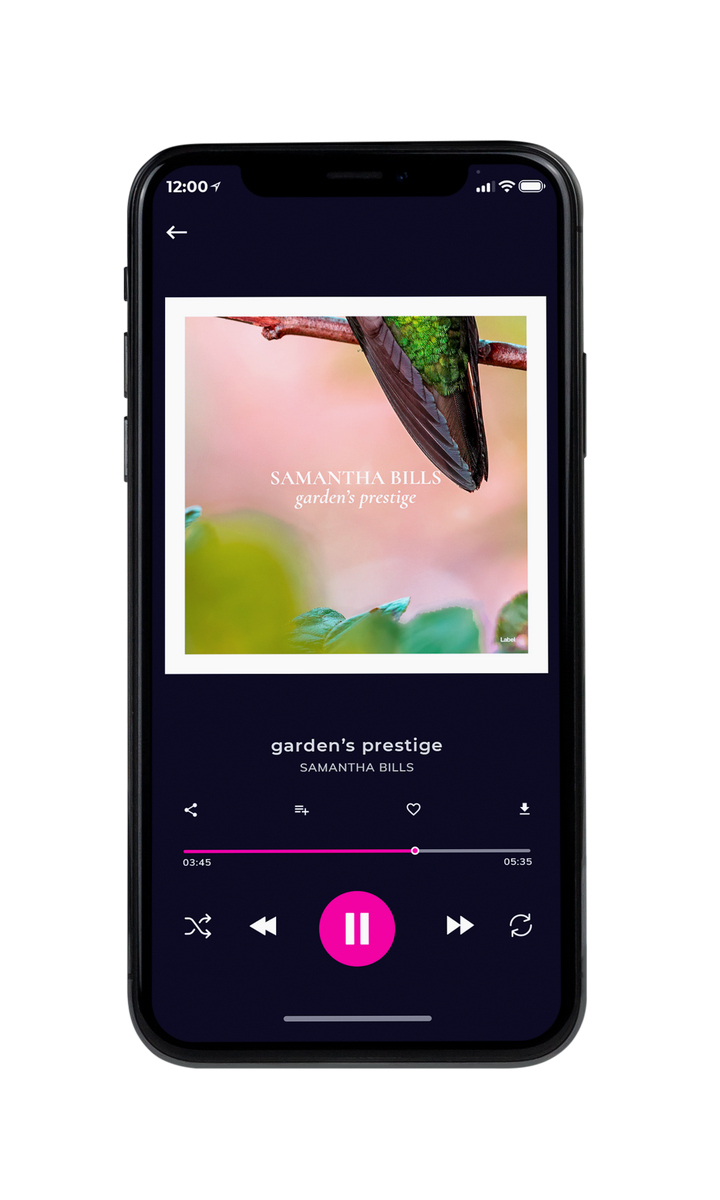 Tablet view of Premade Country & Acoustic Album Cover - Rose Fog #8229 | AlbumArtZone*