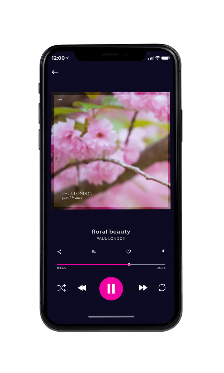 Tablet view of Premade Country & Acoustic Album Cover - Lily #8230 | AlbumArtZone*