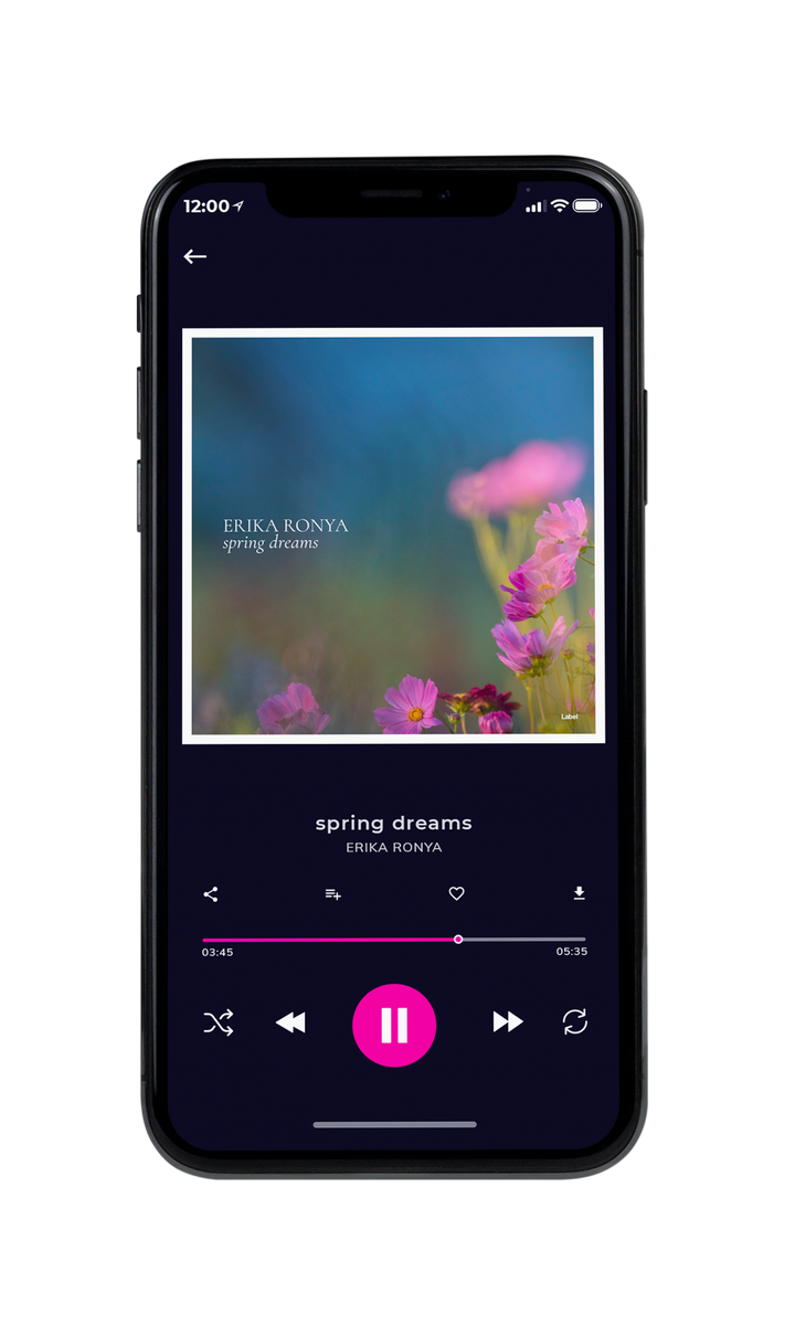 Tablet view of Premade Podcast Album Cover - Shuttle Gray #8231 | AlbumArtZone*