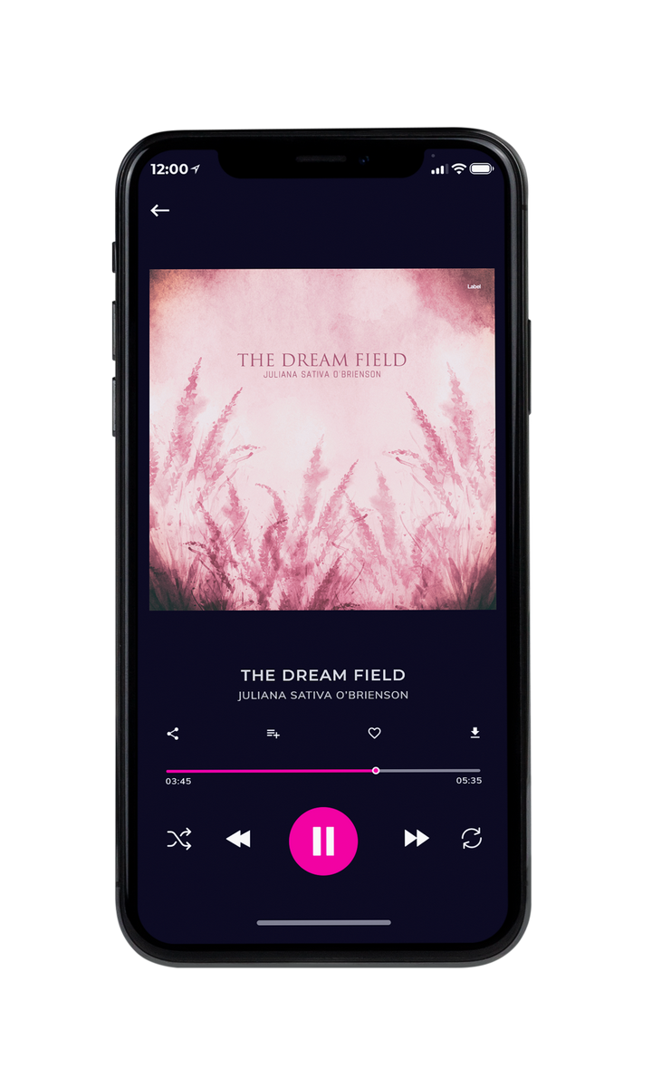 Tablet view of Premade Country & Acoustic Album Cover - Vanilla Ice #8247 | AlbumArtZone*