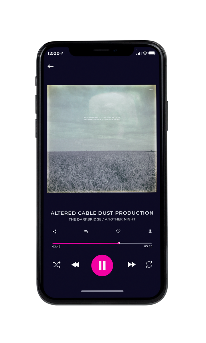 Tablet view of Premade Country & Acoustic Album Cover - Pewter #8322 | AlbumArtZone*
