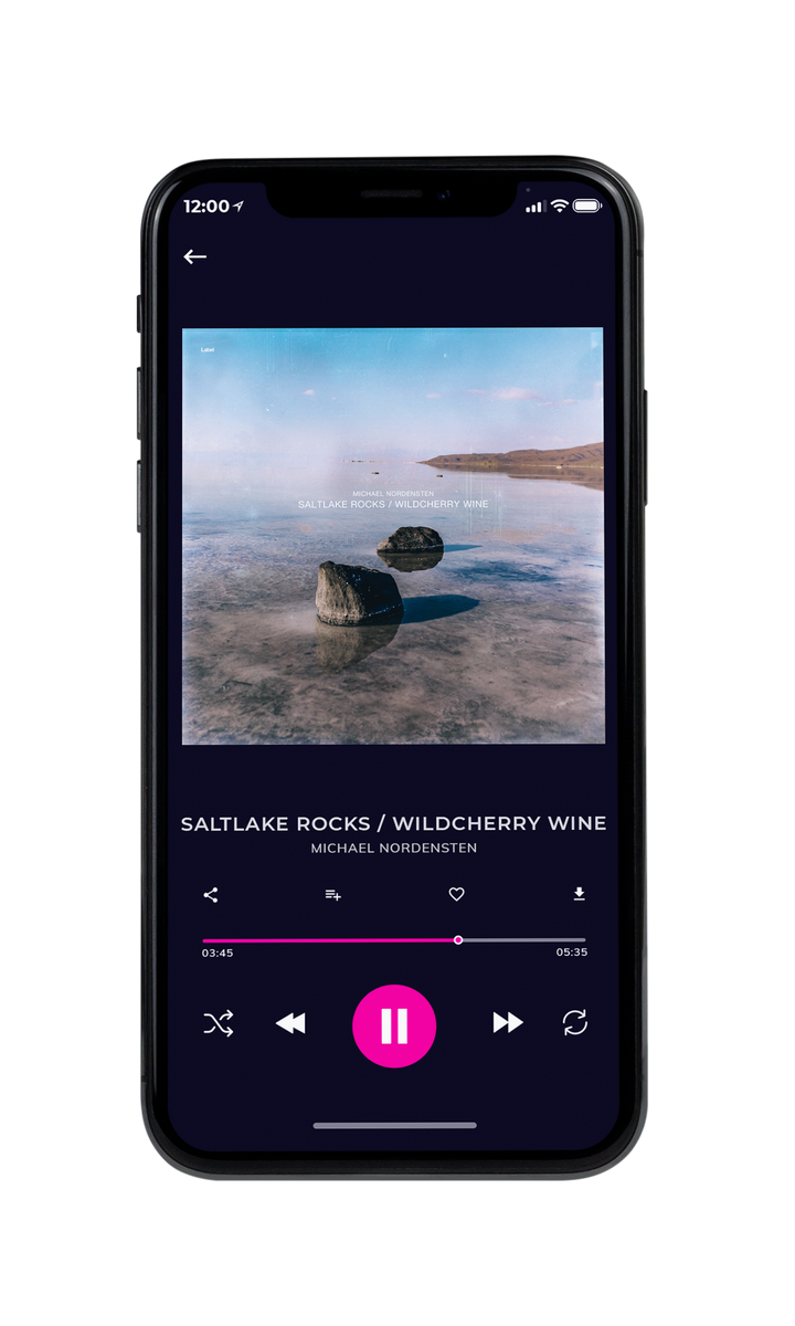 Tablet view of Premade Rock,Punk & Alternative Album Cover - Santas Gray #8324 | AlbumArtZone*