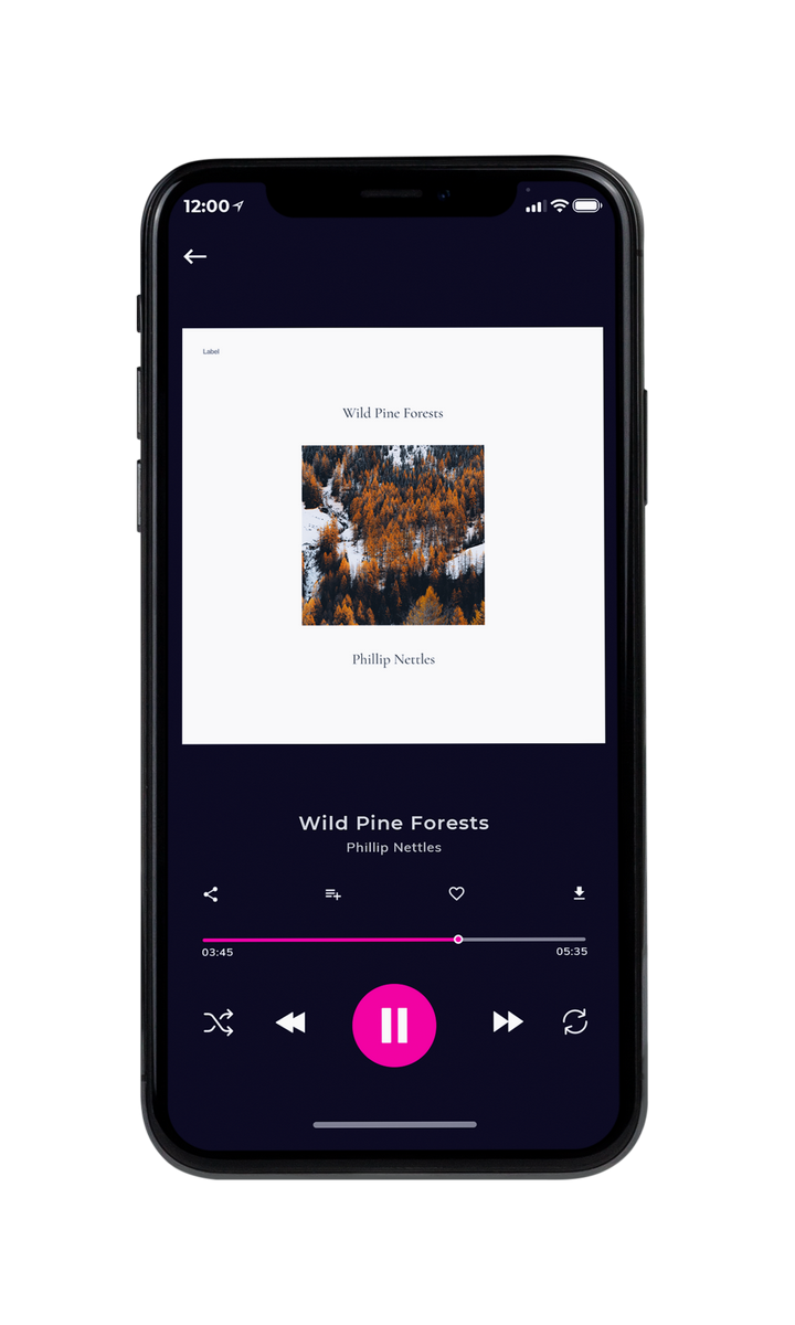 Tablet view of Premade Country & Acoustic Album Cover - Masala #8377 | AlbumArtZone*