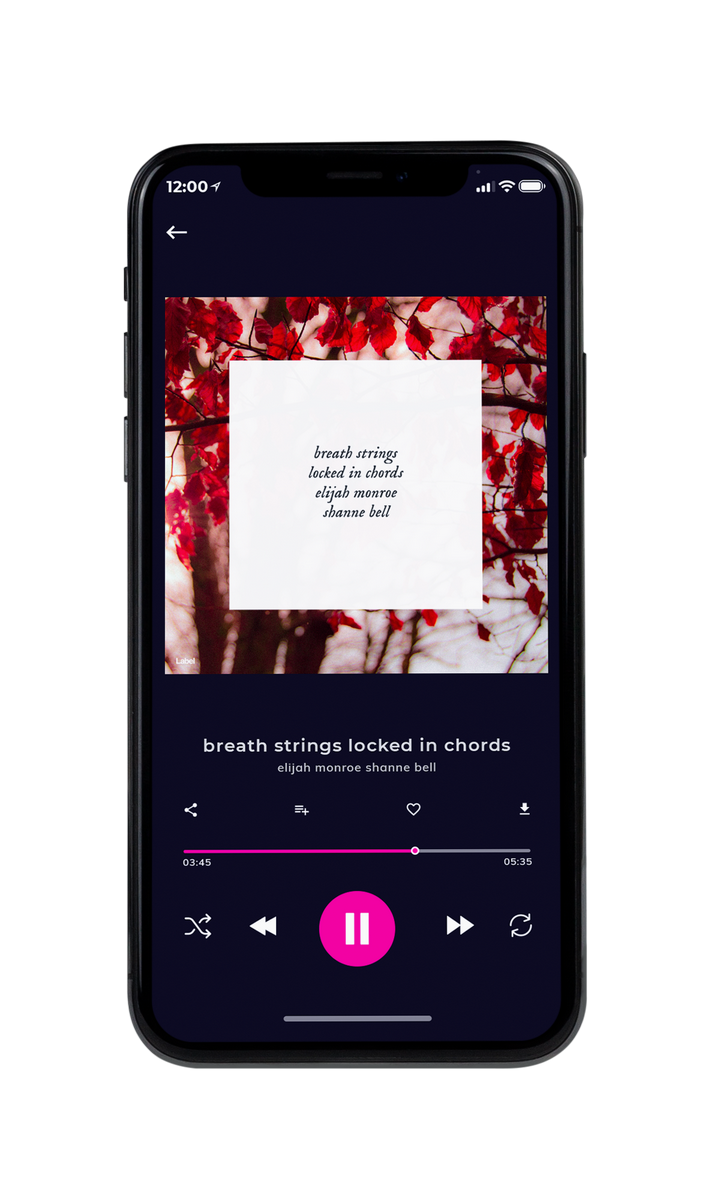 Tablet view of Premade Indie & Folk Music Album Cover - Paco #8423 | AlbumArtZone*