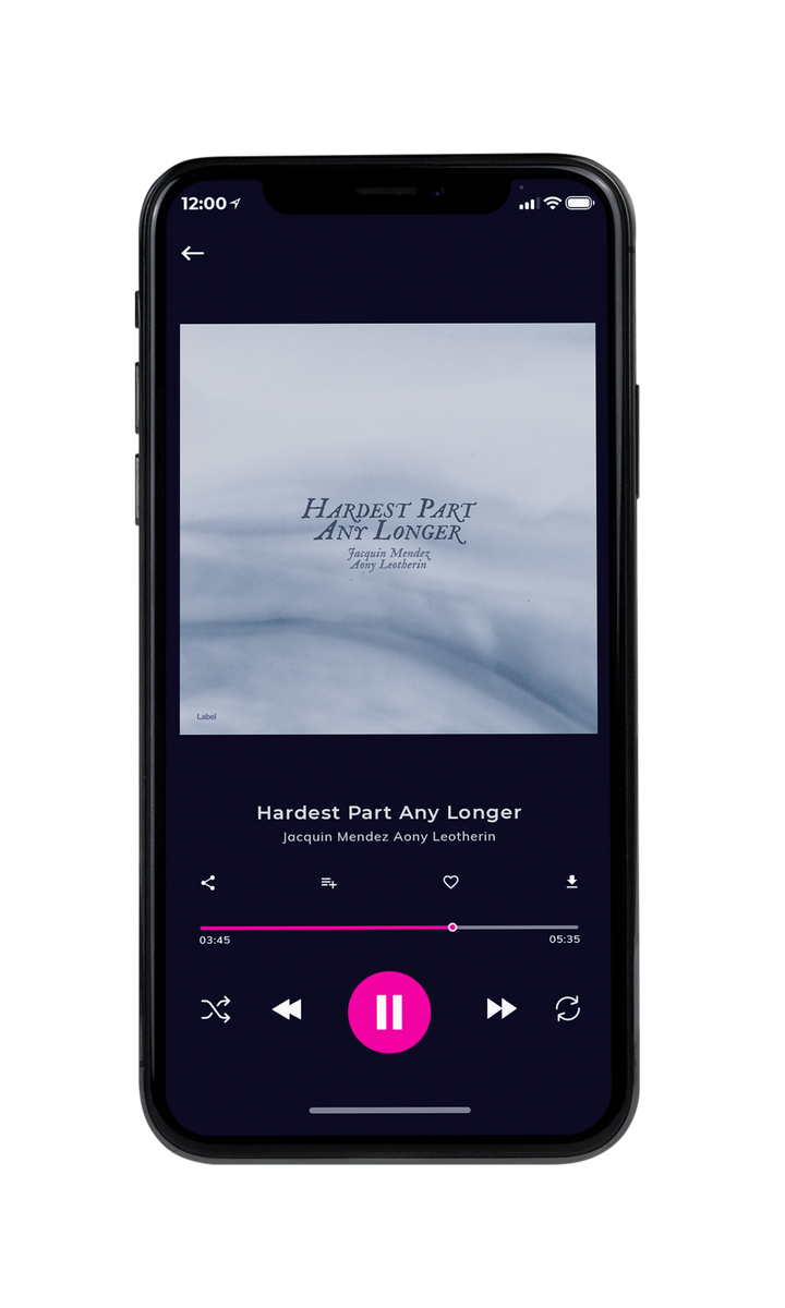 Tablet view of Premade Pop Album Cover - French Gray #8455 | AlbumArtZone*
