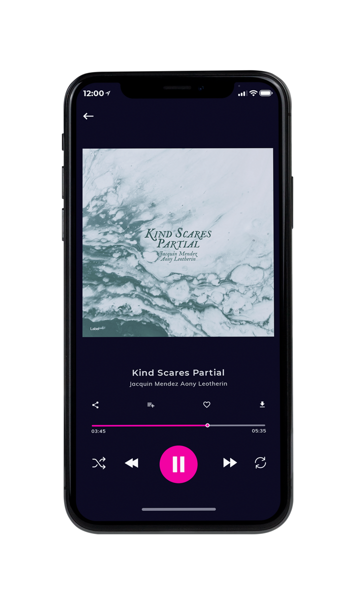 Tablet view of Premade Traditional Jazz & Blues Album Cover - Tiara #8457 | AlbumArtZone*