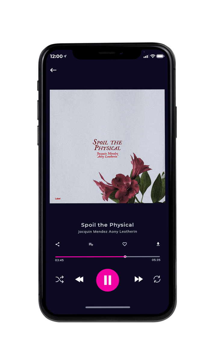 Tablet view of Premade Country & Acoustic Album Cover - Alto #8459 | AlbumArtZone*