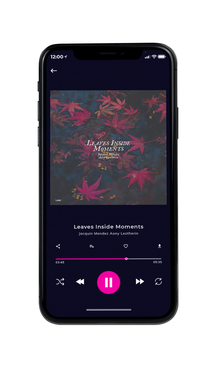 Tablet view of Premade Country & Acoustic Album Cover - Tundora #8466 | AlbumArtZone*