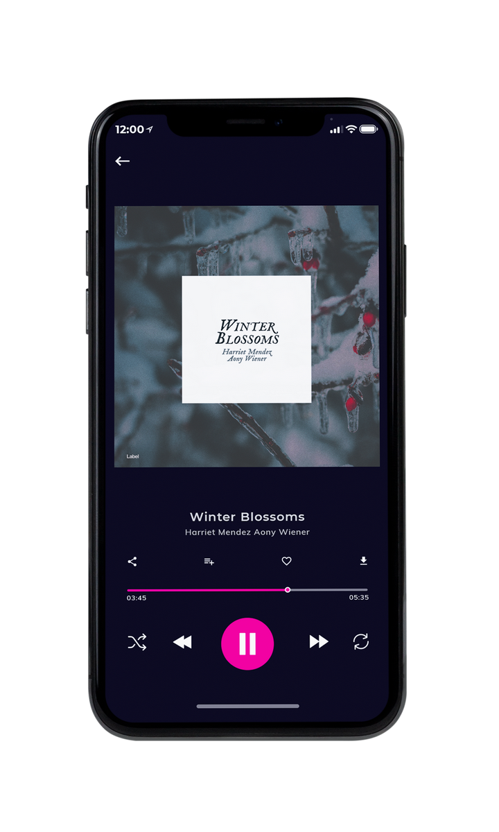 Tablet view of Premade Contemporary Music Album Cover - Abbey #8468 | AlbumArtZone*