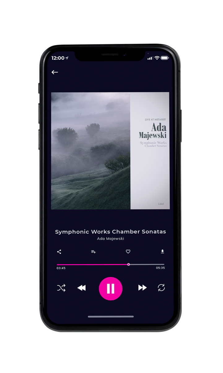 Tablet view of Premade Contemporary Music Album Cover - Pale Slate #8562 | AlbumArtZone*