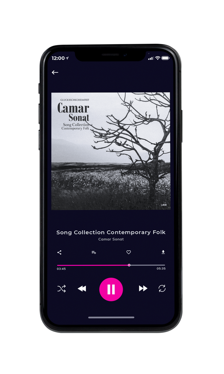 Tablet view of Premade Country & Acoustic Album Cover - Alto #8572 | AlbumArtZone*