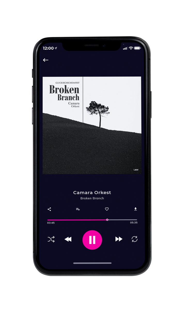 Tablet view of Premade Early Music Album Cover - Mine Shaft #8574 | AlbumArtZone*