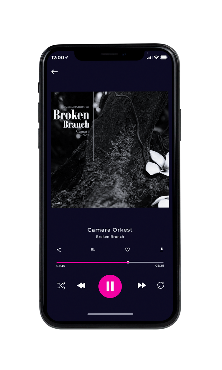 Tablet view of Premade Contemporary Music Album Cover - Cod Gray #8575 | AlbumArtZone*