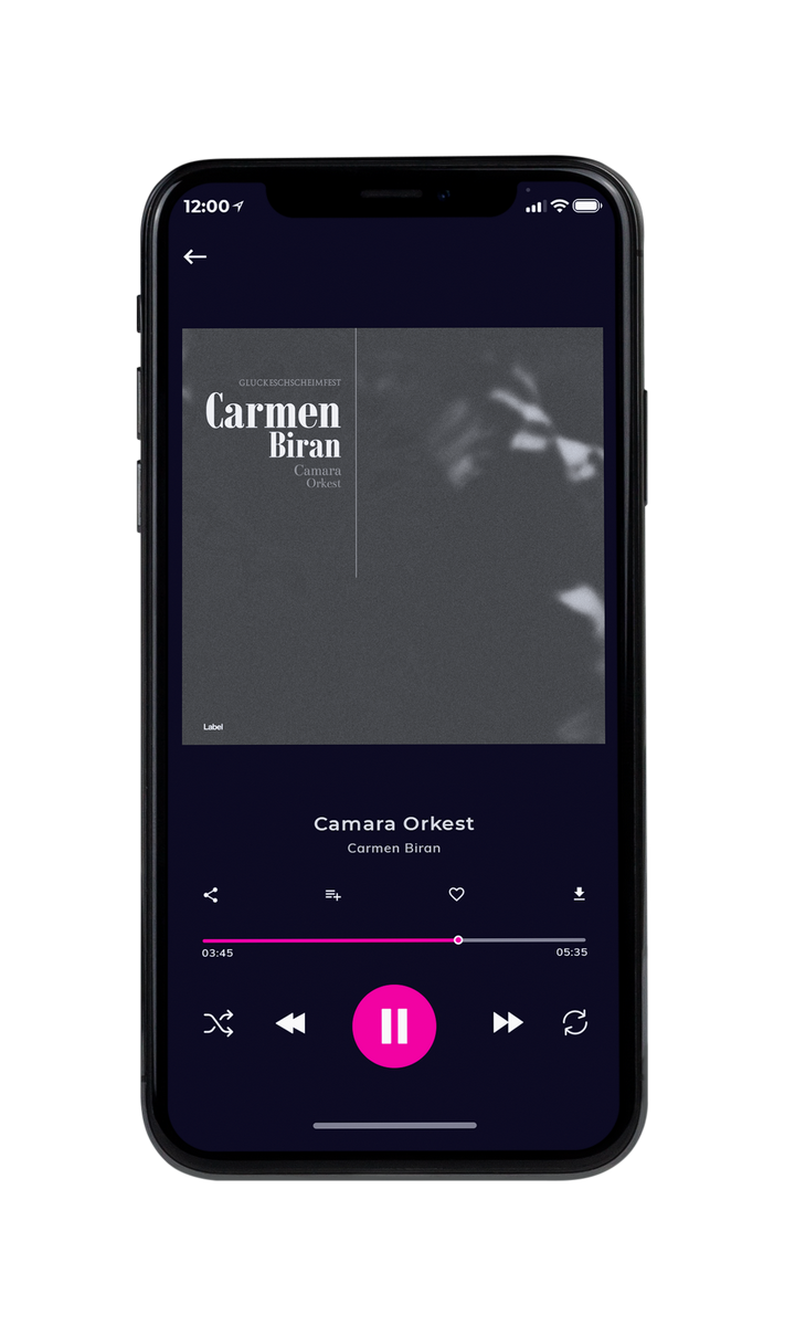 Tablet view of Premade Country & Acoustic Album Cover - Tundora #8578 | AlbumArtZone*