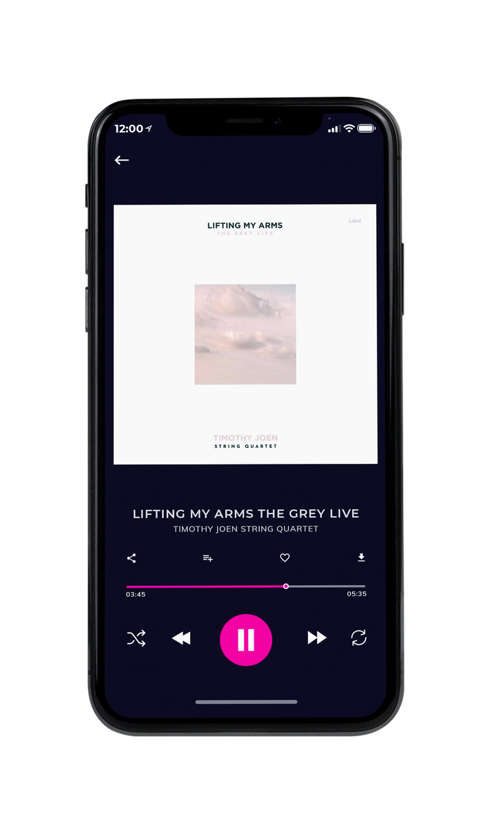 Tablet view of Premade Country & Acoustic Album Cover - Dust Storm #8641 | AlbumArtZone*