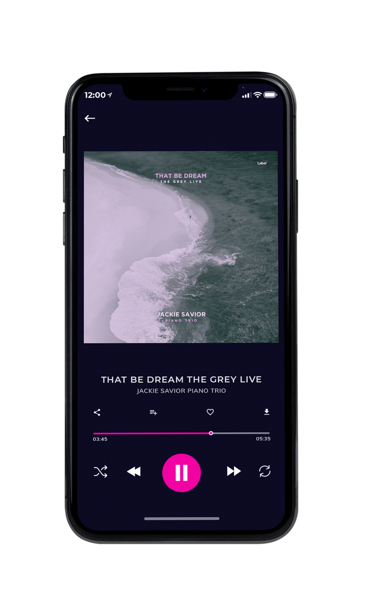 Tablet view of Premade Pop Album Cover - Nandor #8648 | AlbumArtZone*