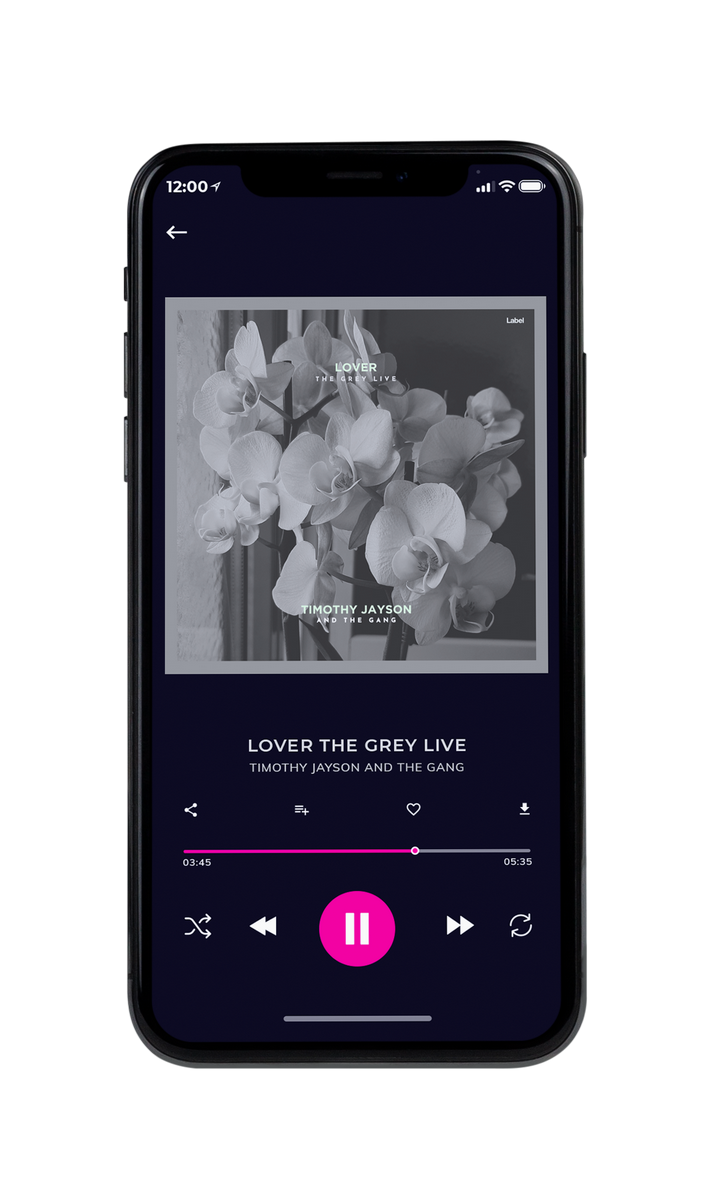 Tablet view of Premade Pop Album Cover - Gray #8671 | AlbumArtZone*