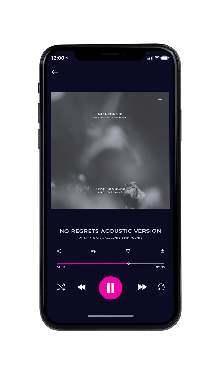 Tablet view of Premade Pop Album Cover - Emperor #8674 | AlbumArtZone*