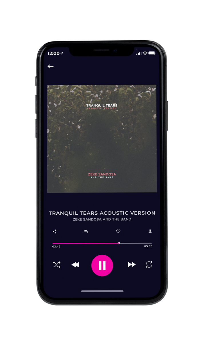 Tablet view of Premade Pop Album Cover - Fuscous Gray #8676 | AlbumArtZone*