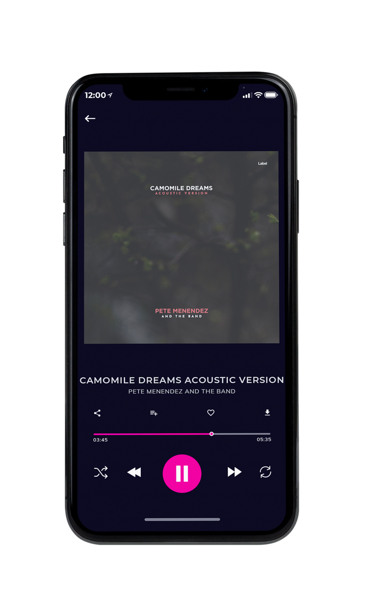 Tablet view of Premade Pop Album Cover - Masala #8678 | AlbumArtZone*