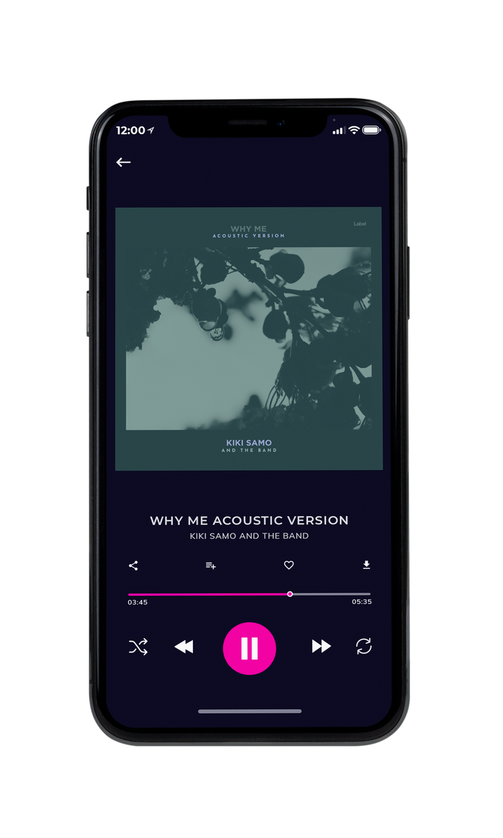 Tablet view of Premade Country & Acoustic Album Cover - Limed Spruce #8686 | AlbumArtZone*