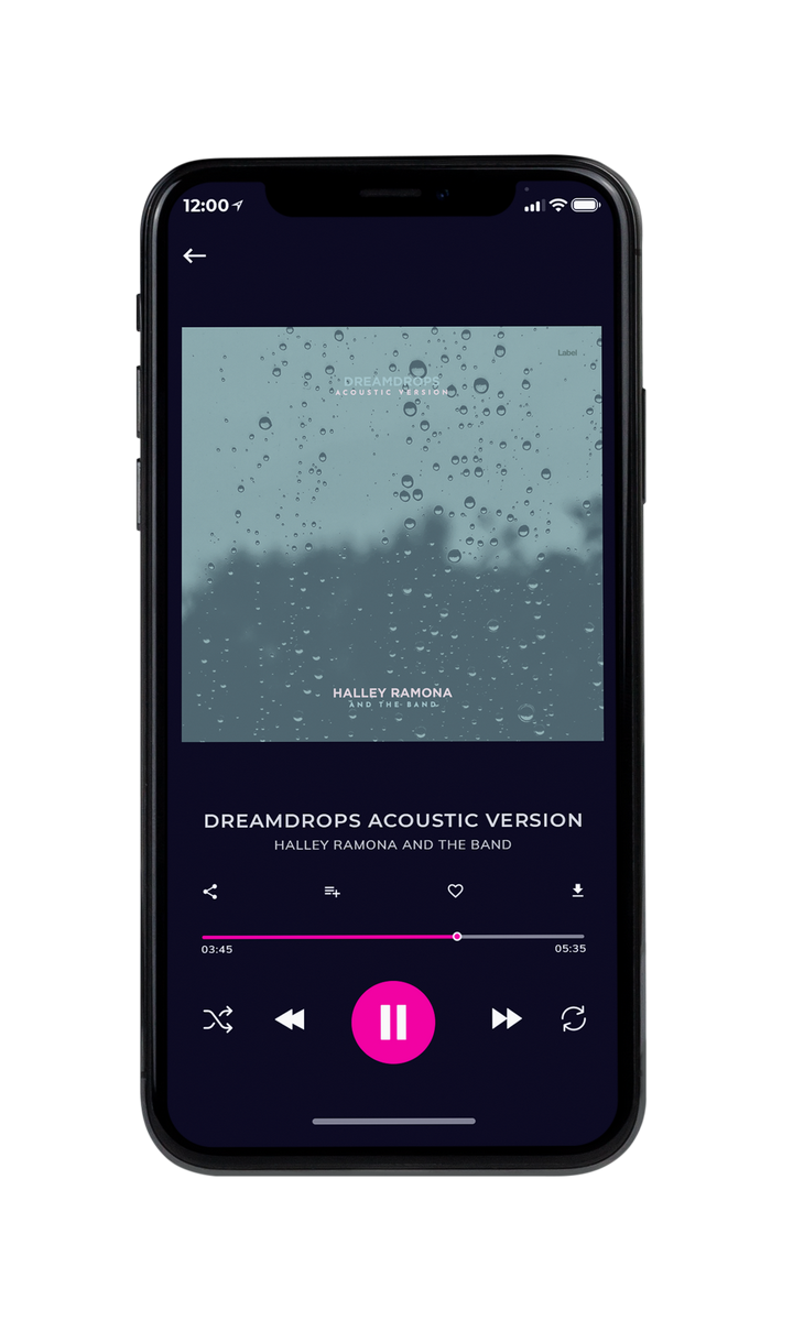 Tablet view of Premade Pop Album Cover - Pewter #8690 | AlbumArtZone*