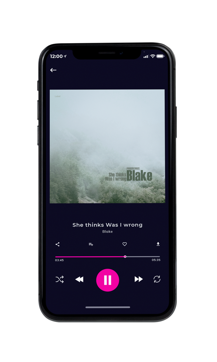 Tablet view of Premade Country & Acoustic Album Cover - Tiara #8748 | AlbumArtZone*