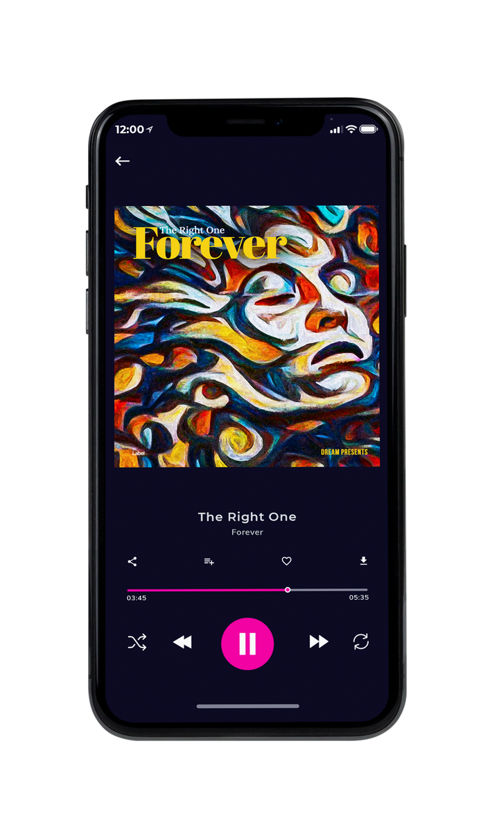 Tablet view of Premade Pop Album Cover - Calico #8815 | AlbumArtZone*