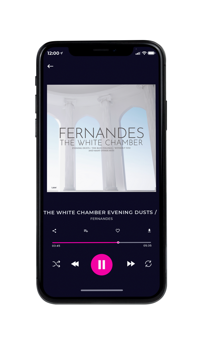 Tablet view of Premade Classical & Romantic Music Album Cover - Iron #8828 | AlbumArtZone*