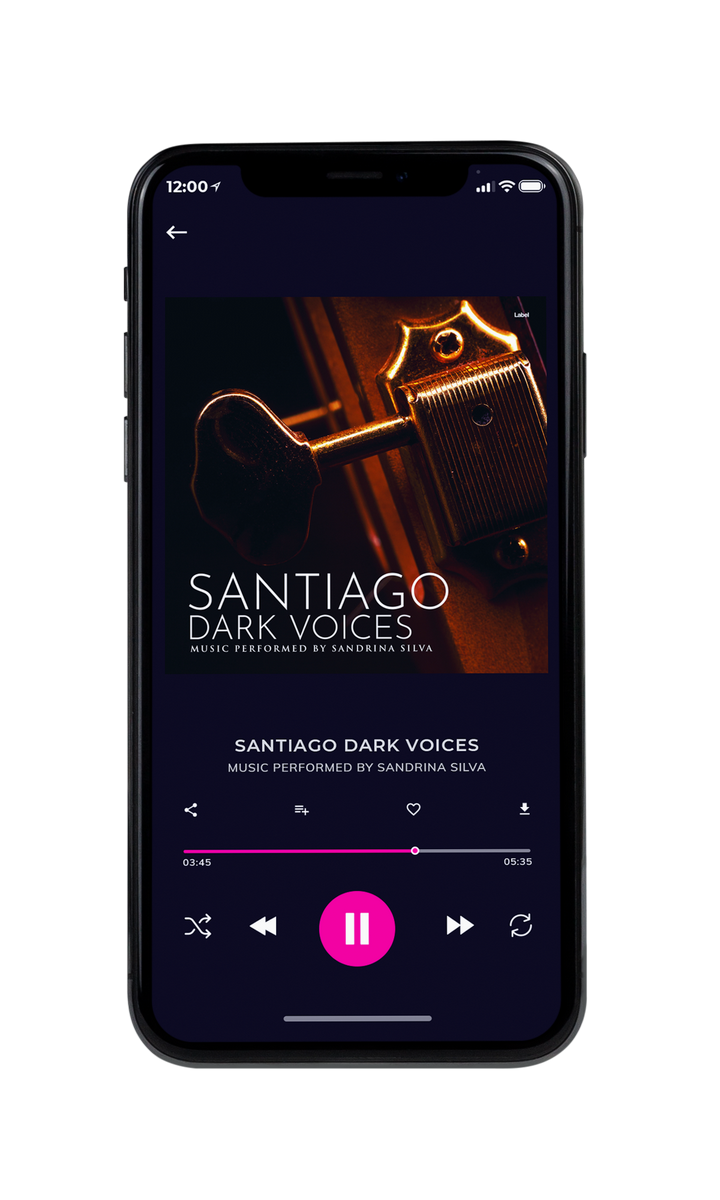 Tablet view of Premade Pop Album Cover - Gondola #8846 | AlbumArtZone*