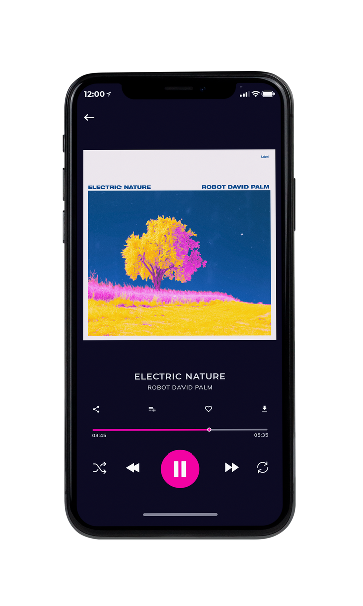 Tablet view of Premade Pop Album Cover - Sidecar #8862 | AlbumArtZone*