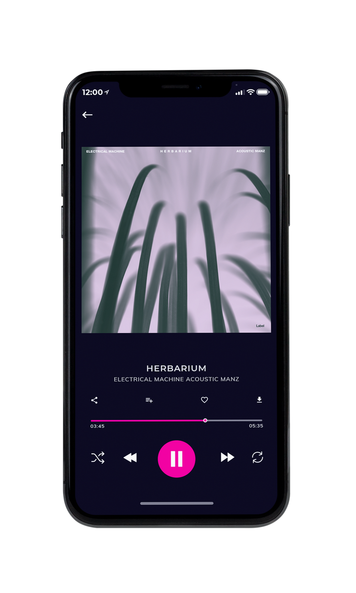Tablet view of Premade Pop Album Cover - Pale Slate #8866 | AlbumArtZone*