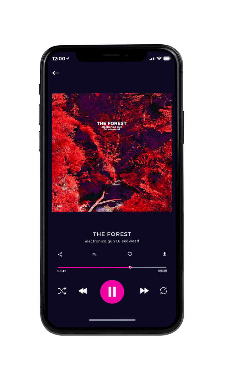Tablet view of Premade Pop Album Cover - Valencia #8876 | AlbumArtZone*