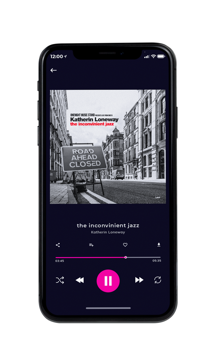 Tablet view of Premade Traditional Jazz & Blues Album Cover - Silver #8888 | AlbumArtZone*
