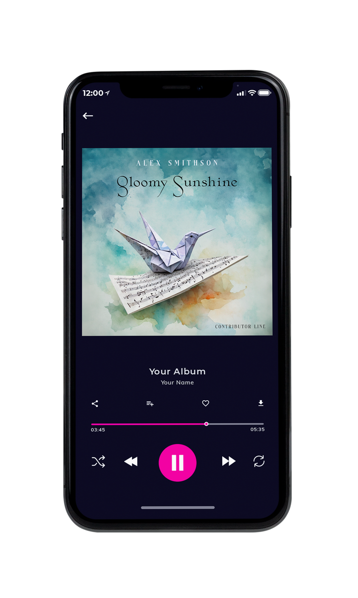 Tablet view of Premade Contemporary Music Album Cover - Pumice #10029 | AlbumArtZone*
