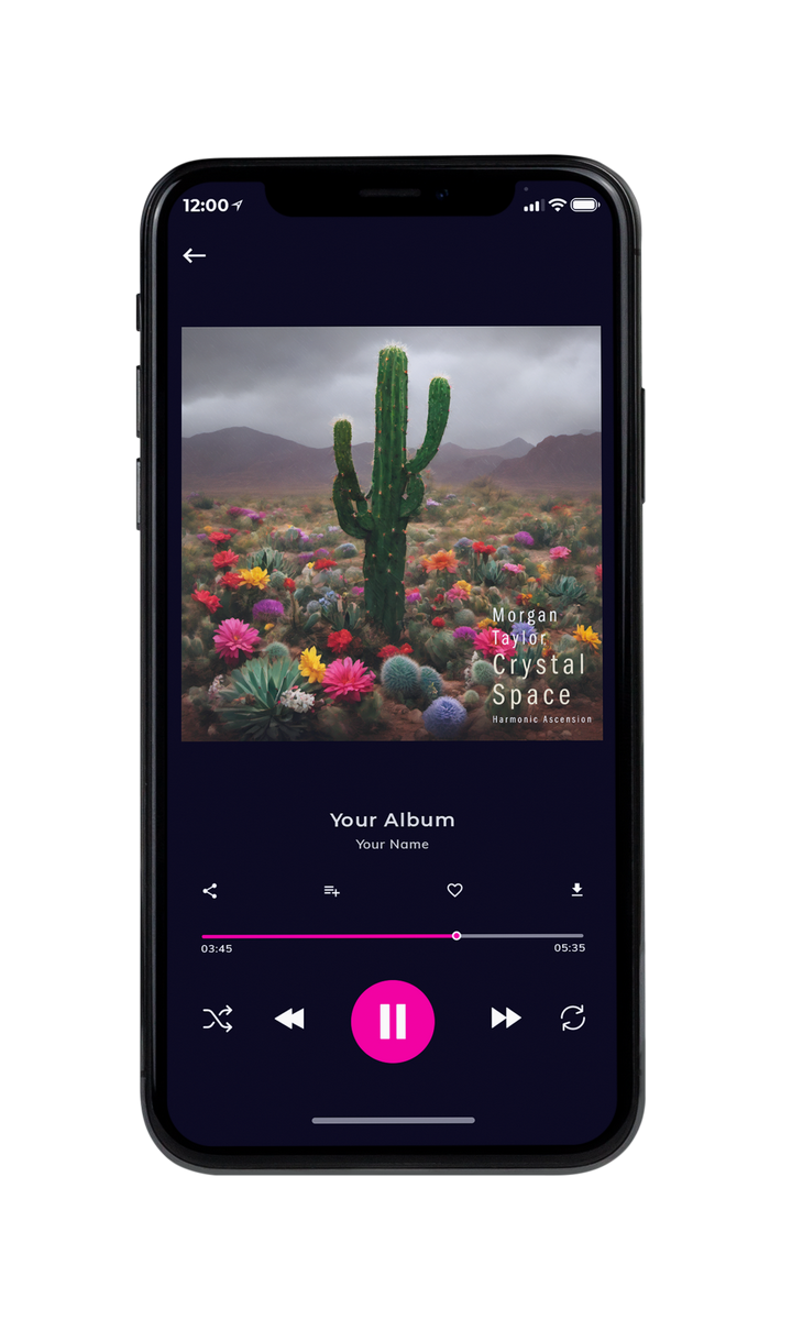 Tablet view of Premade Country & Acoustic Album Cover - Soya Bean #10070 | AlbumArtZone*