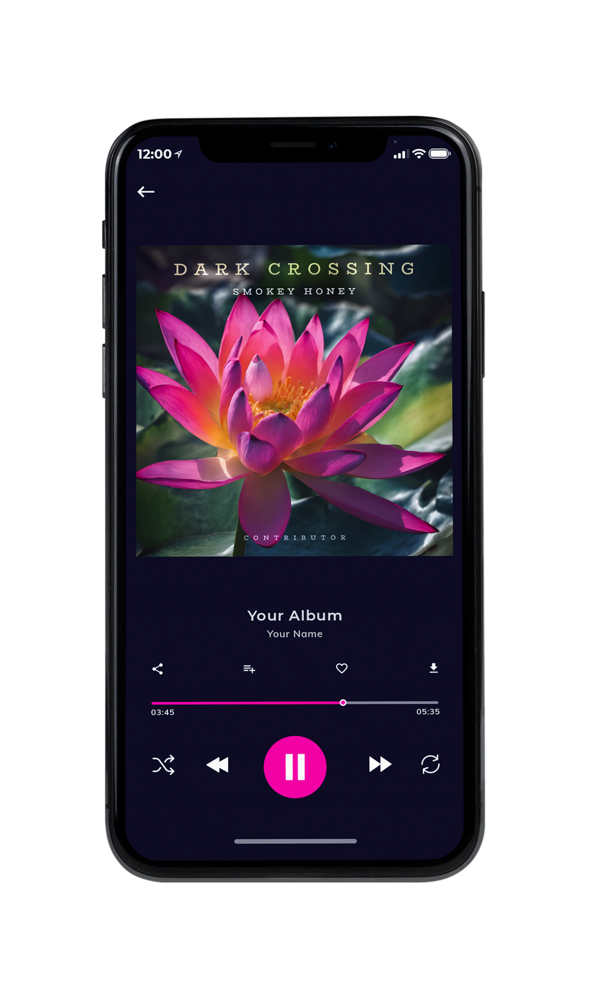 Tablet view of Premade Pop Album Cover - Tuna #10429 | AlbumArtZone*