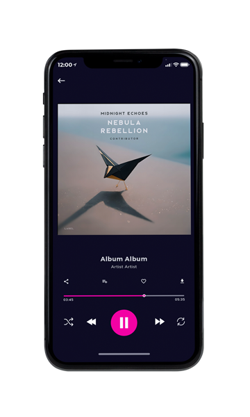 Tablet view of Premade Pop Album Cover - Natural Gray #10513 | AlbumArtZone*
