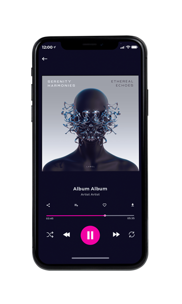 Tablet view of Premade EDM, House & Dub Album Cover - Silver #10568 | AlbumArtZone*