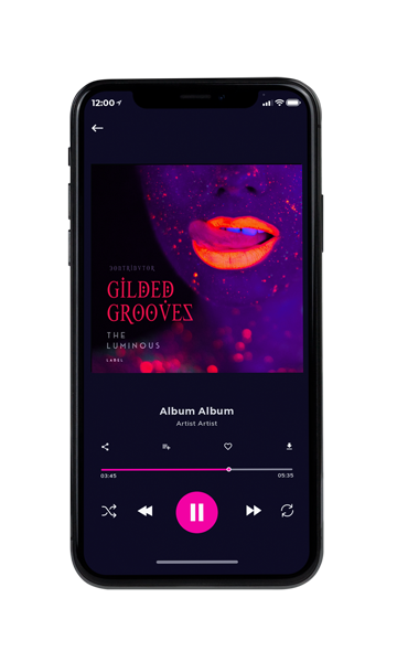 Tablet view of Premade Pop Album Cover - Tolopea #10621 | AlbumArtZone*
